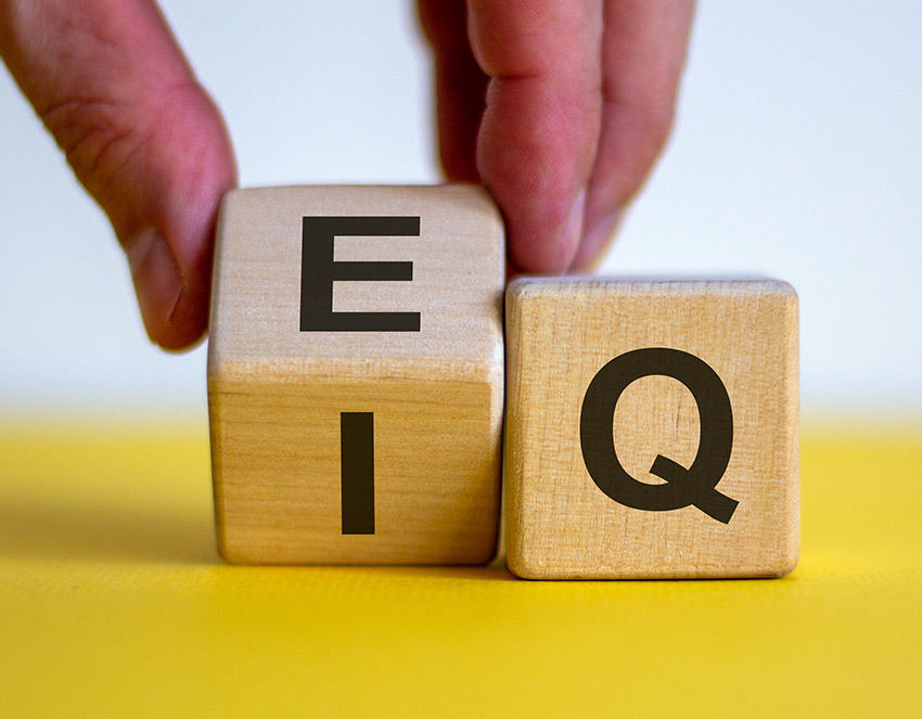 آزمون هوش هیجانی (EQ) بار آن (Bar-On)